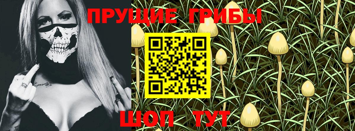 Черняховск  Псилоцибиновые грибы MAGIC MUSHROOMS  Вход с VPN 