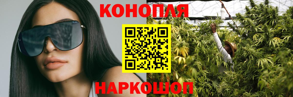 Бошки Шишки VHQ Черняховск